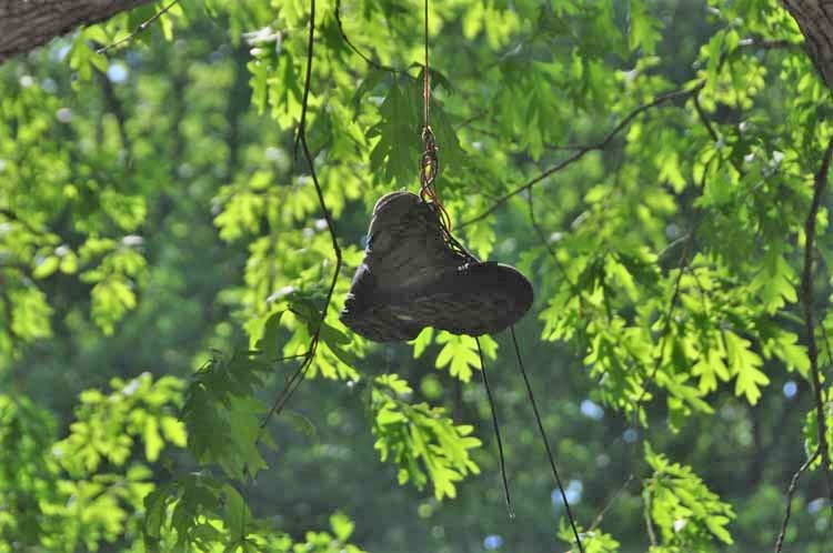 Appalachian Trail, shoe tree